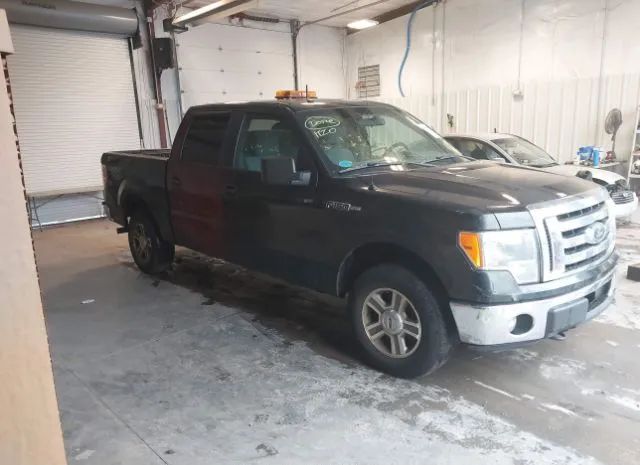 ford f-150 2012 1ftfw1ef9cfa64437