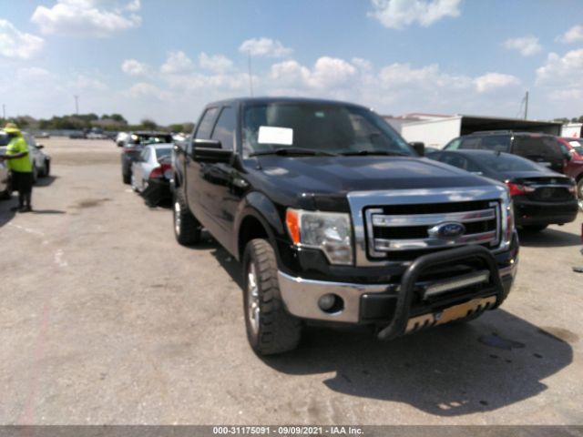 ford f-150 2013 1ftfw1ef9dfb68203