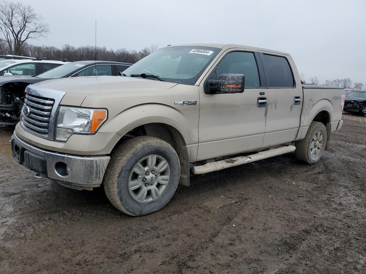 ford f-150 2012 1ftfw1efxcfa87595