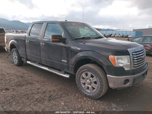 ford f-150 2011 1ftfw1et0bfc41641