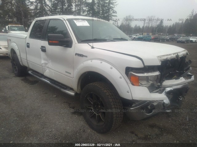 ford f-150 2013 1ftfw1et0dfd20875