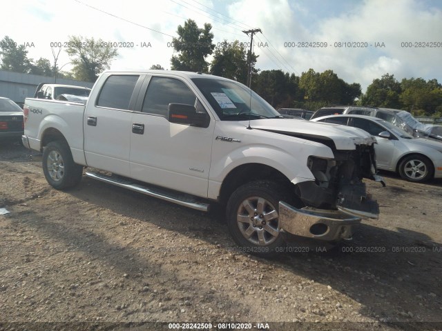 ford f-150 2013 1ftfw1et0dkg45484