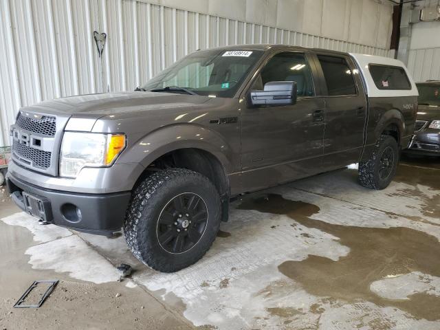 ford f-150 2012 1ftfw1et1ckd93260