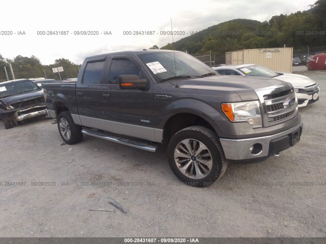 ford f-150 2013 1ftfw1et1dfa88822