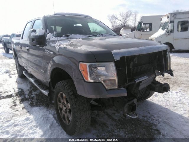 ford f-150 2013 1ftfw1et1dkd54539