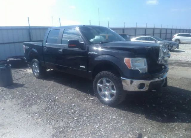 ford f-150 2013 1ftfw1et1dke20765