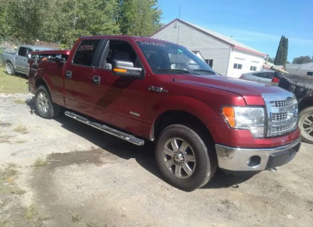 ford f-150 2014 1ftfw1et1efc87662