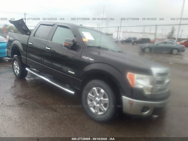 ford f-150 2013 1ftfw1et2dkd58504