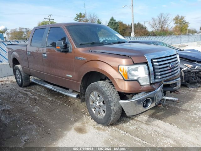 ford f150 2011 1ftfw1et3bfd23184