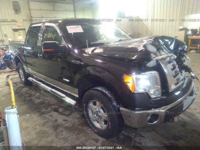 ford f-150 2012 1ftfw1et3cfb27800