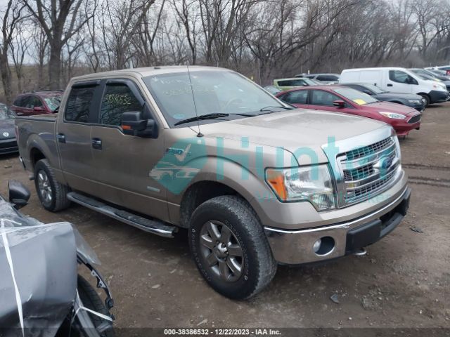 ford  2013 1ftfw1et3dfb00906