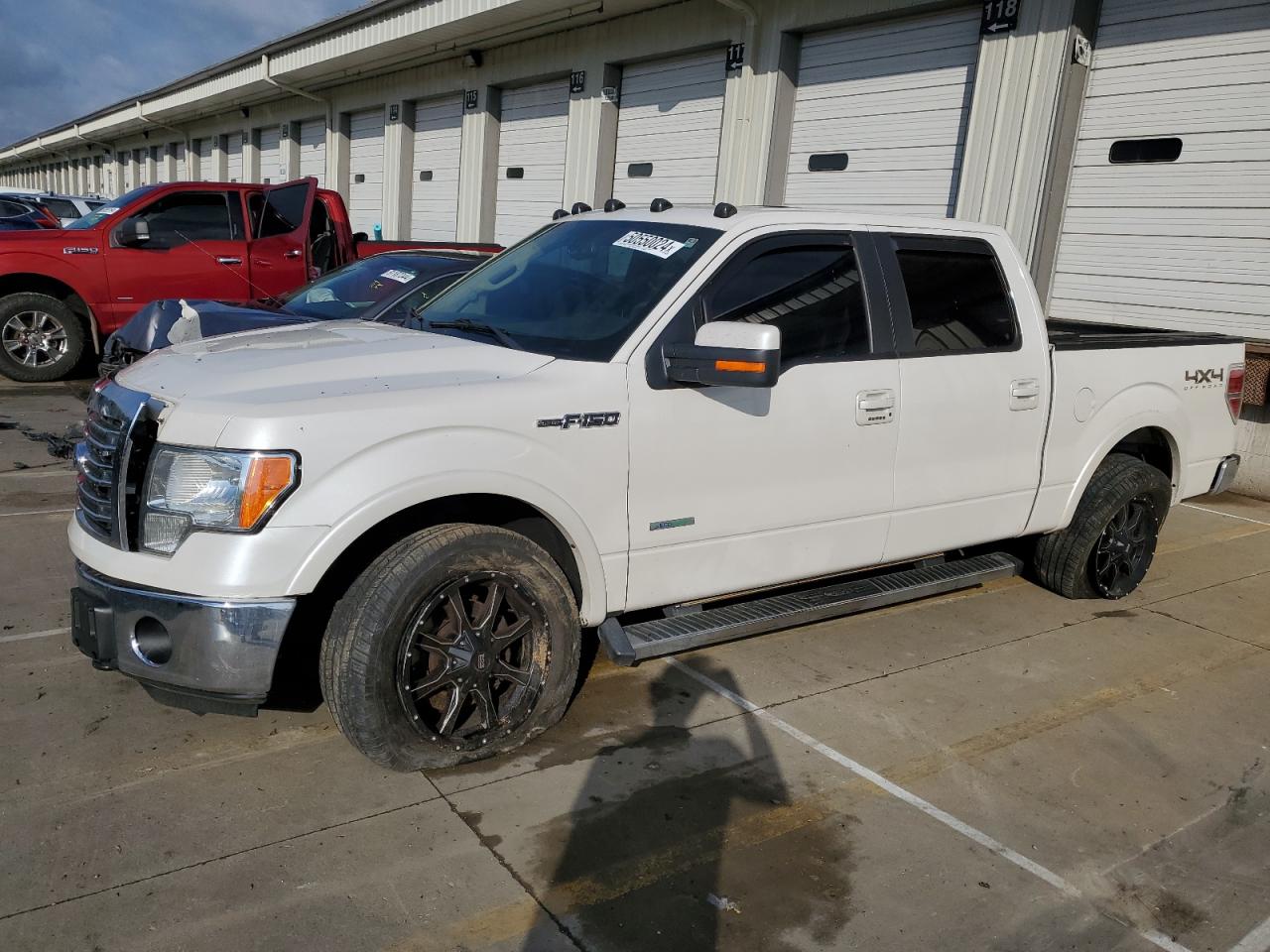 ford f-150 2013 1ftfw1et4dfc86584