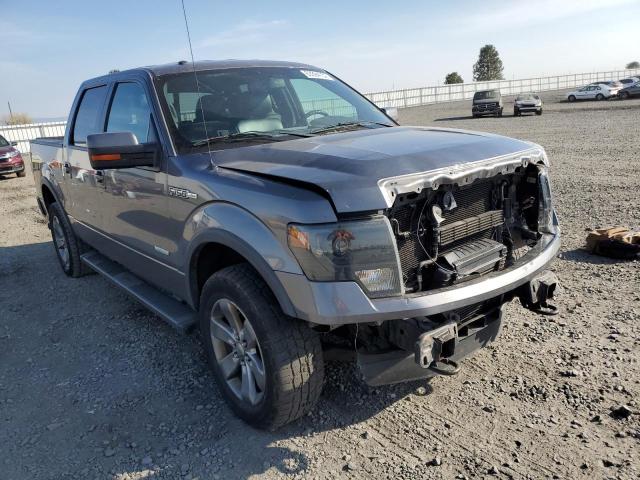 ford f-150 2013 1ftfw1et4dkf26725