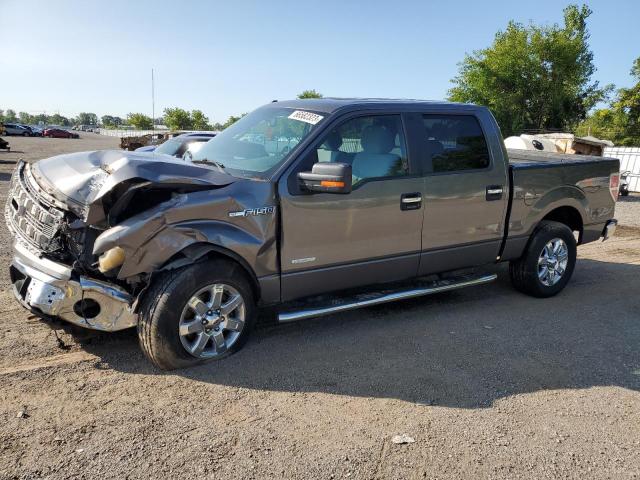 ford f-150 2014 1ftfw1et4efa34447