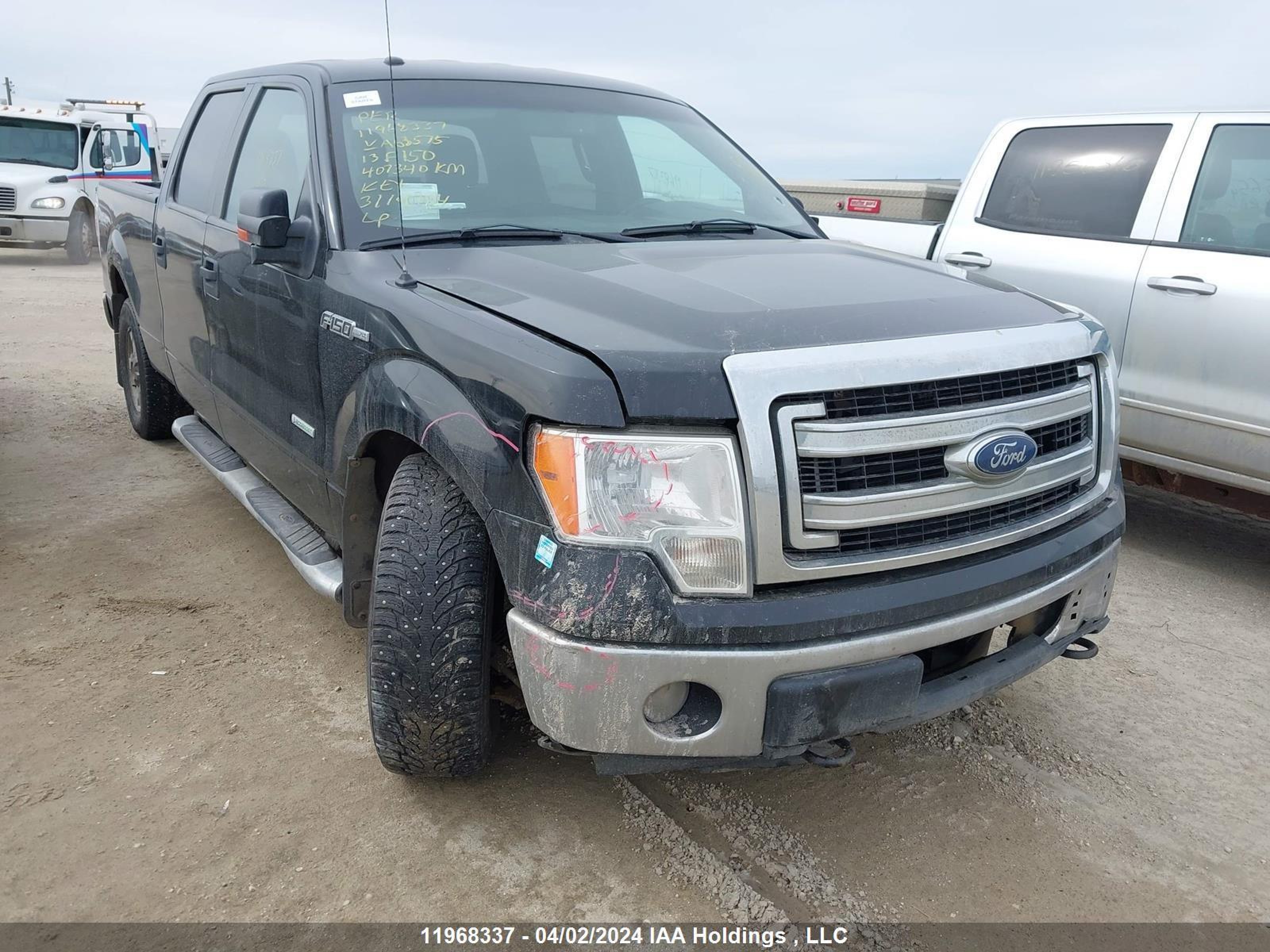 ford f-150 2013 1ftfw1et6dfa63575