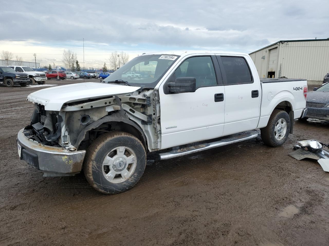 ford f-150 2013 1ftfw1et6dfd13445