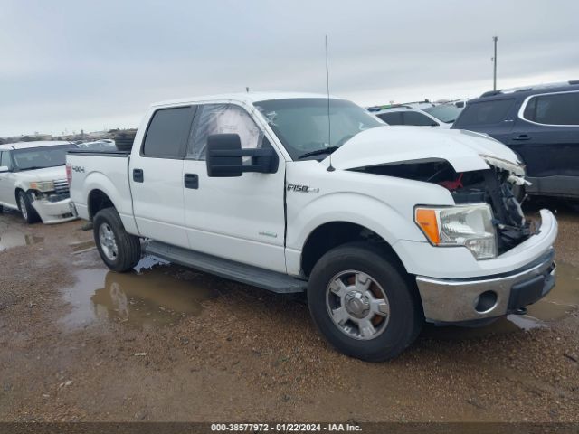 ford f-150 2013 1ftfw1et6dke62302