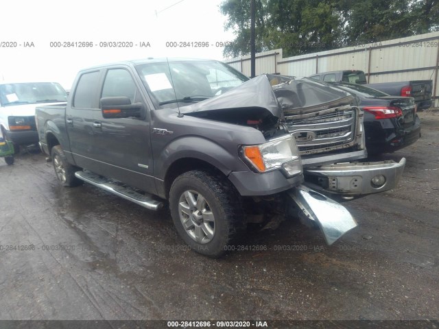 ford f-150 2013 1ftfw1et6dkg23831