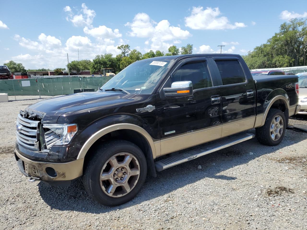 ford f-150 2013 1ftfw1et7dkd69305