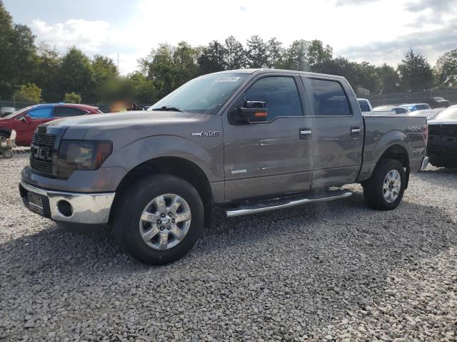 ford f150 super 2013 1ftfw1et8dfd02057