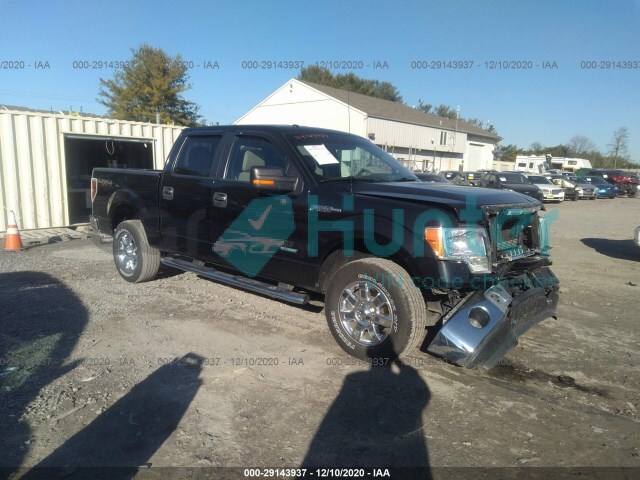 ford f-150 2013 1ftfw1et8dfd29968