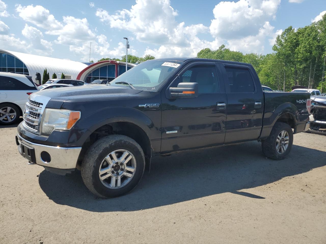 ford f-150 2013 1ftfw1et8dfd46625