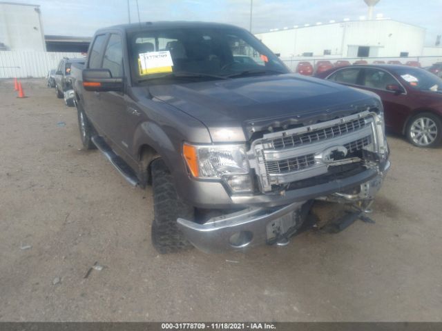 ford f-150 2013 1ftfw1et8dkg45894