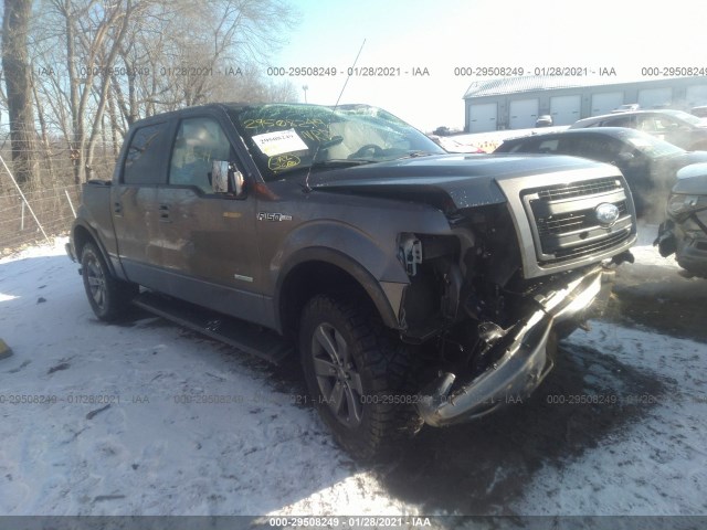 ford f-150 2014 1ftfw1et8efb11563