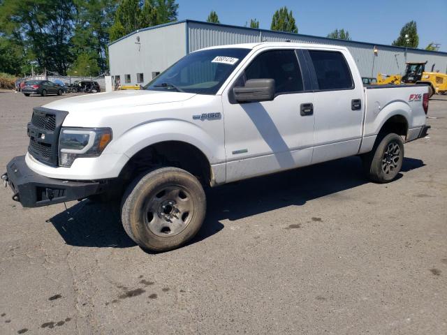 ford f-150 2014 1ftfw1et8ekg25744