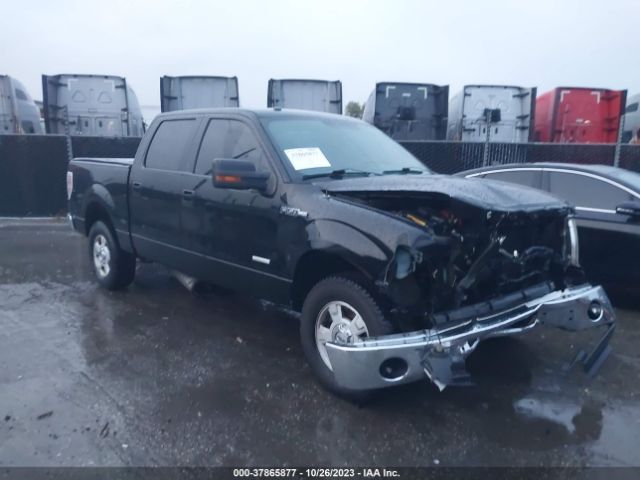ford f-150 2011 1ftfw1et9bfc65288