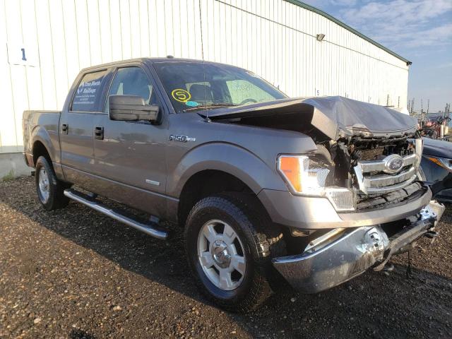 ford f150 super 2012 1ftfw1etxcfb77478