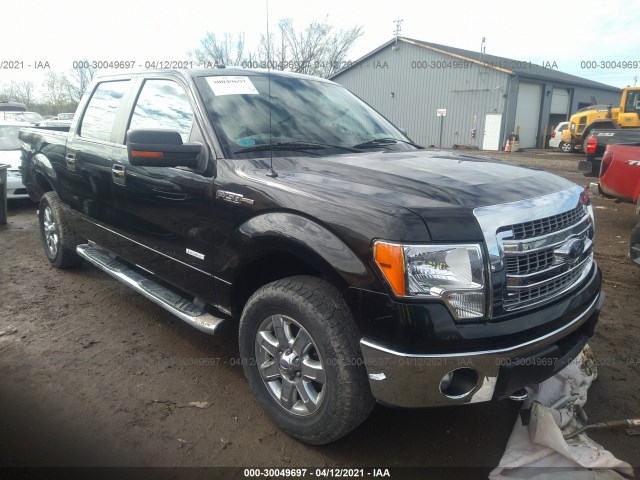 ford f-150 2013 1ftfw1etxdfc40743