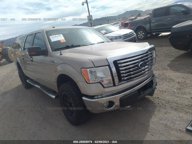 ford f-150 2010 1ftfw1ev2afb77697