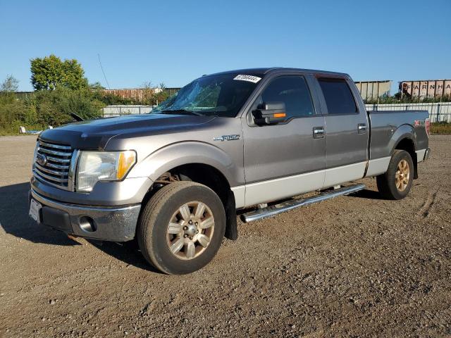 ford f150 super 2010 1ftfw1ev3afd45606