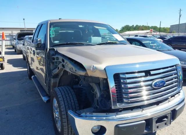 ford f-150 2011 1ftfx1cf2bkd03316