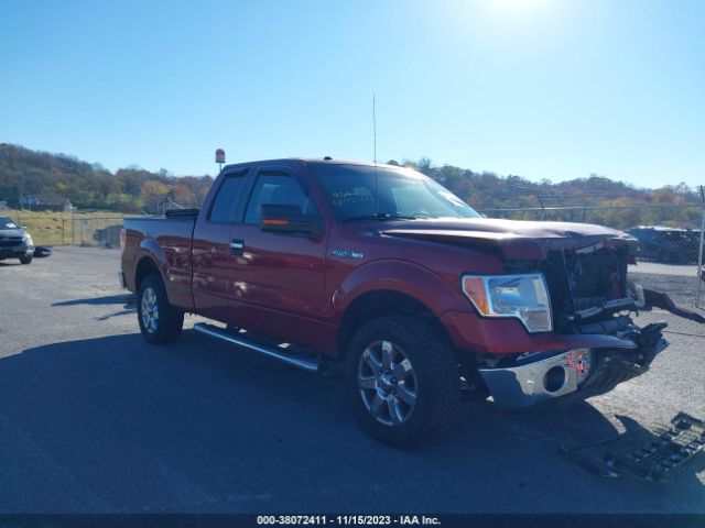 ford f150 2014 1ftfx1cf3ekf32902