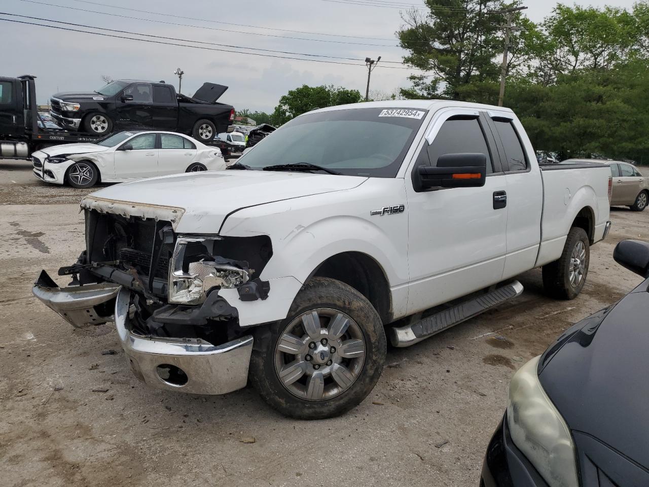 ford f-150 2010 1ftfx1cv5afd64593