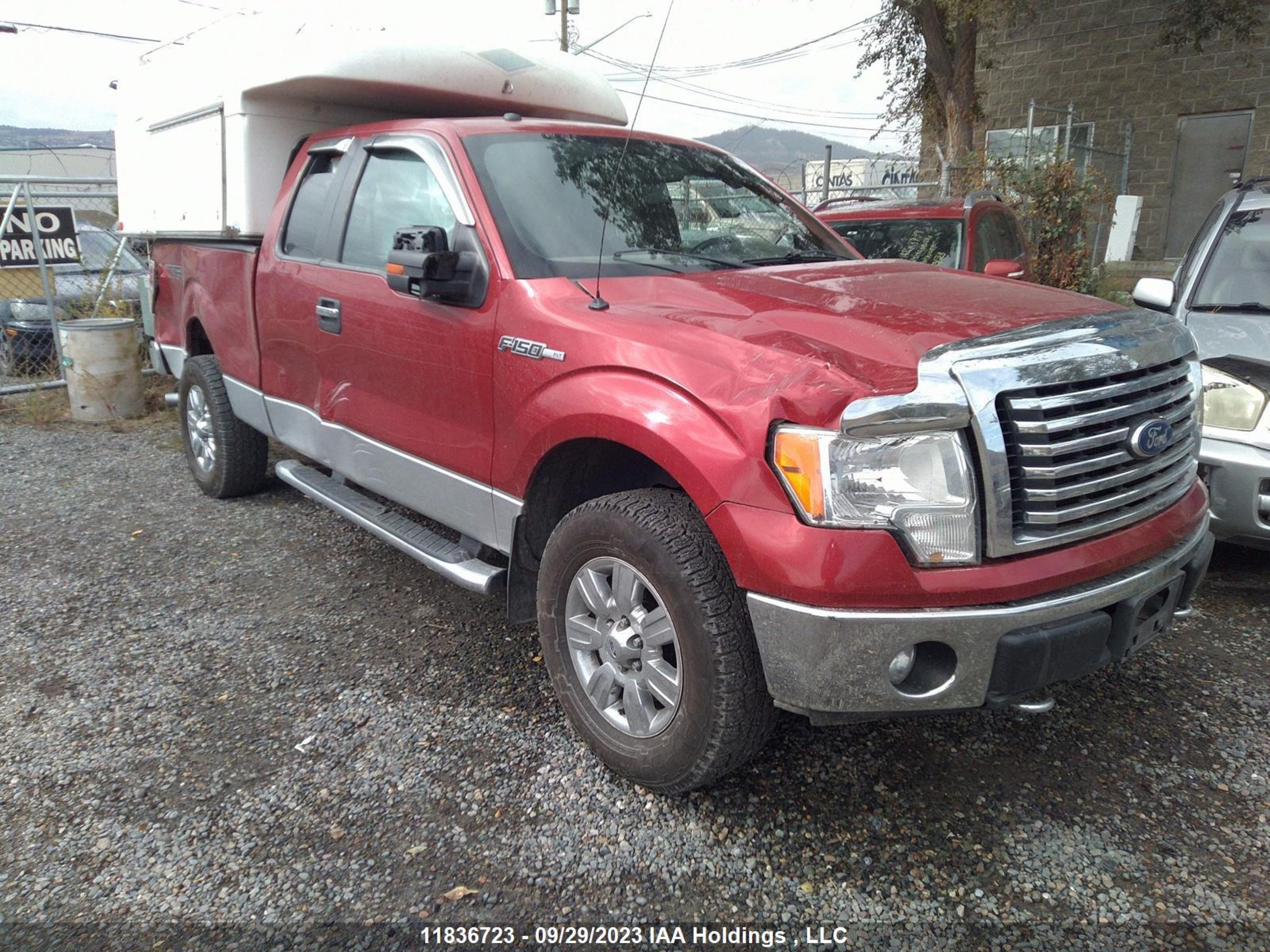 ford f-150 2011 1ftfx1ef2bfa98070