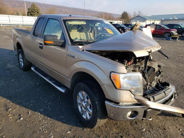 ford f150 super 2013 1ftfx1ef9dkg01815