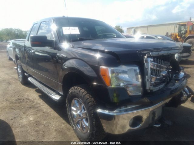 ford f-150 2013 1ftfx1efxdfb74475