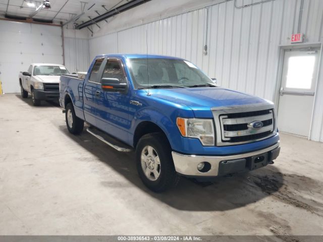 ford f-150 2013 1ftfx1efxdkf54245