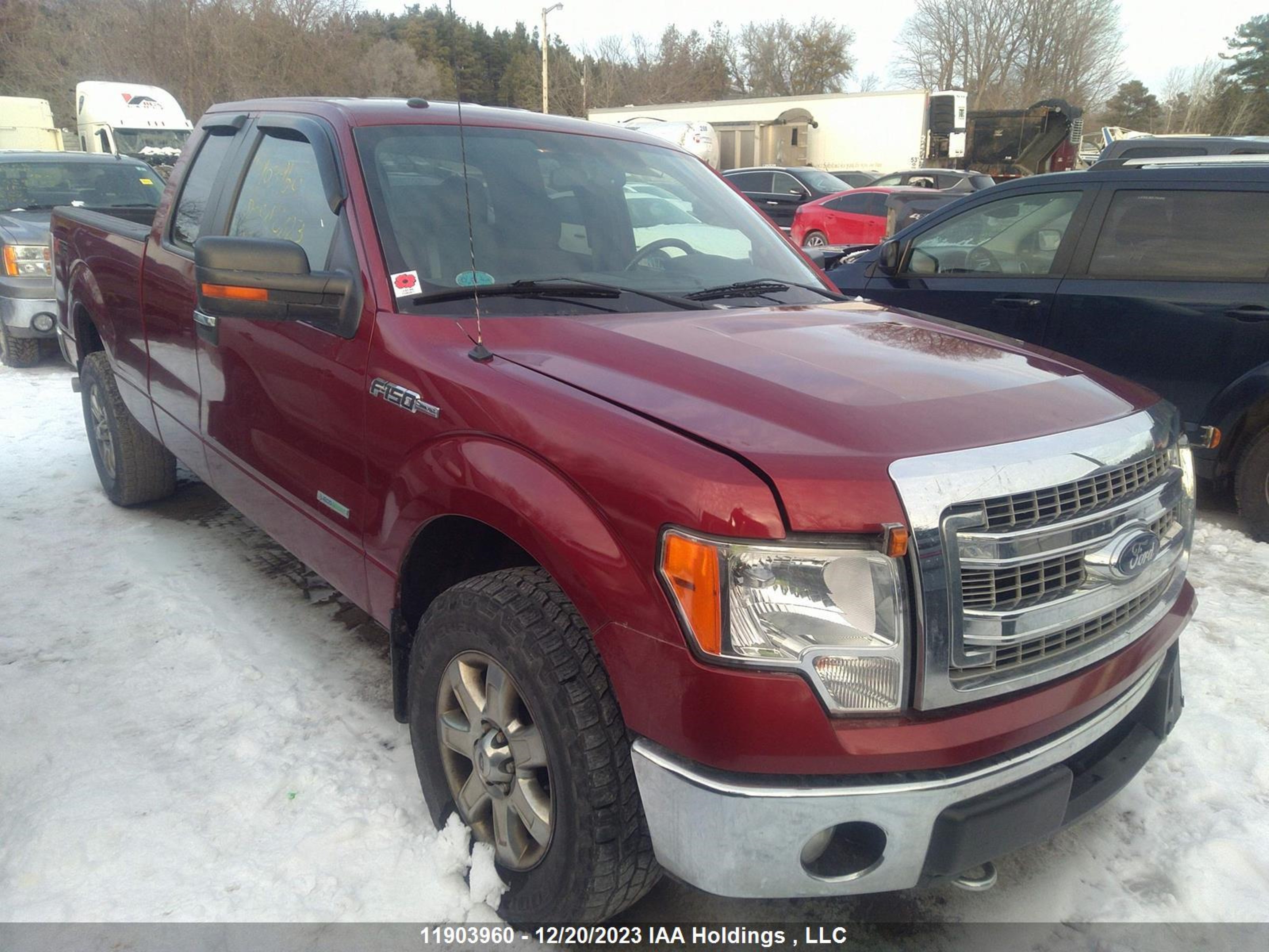 ford f-150 2013 1ftfx1et3dfc23411