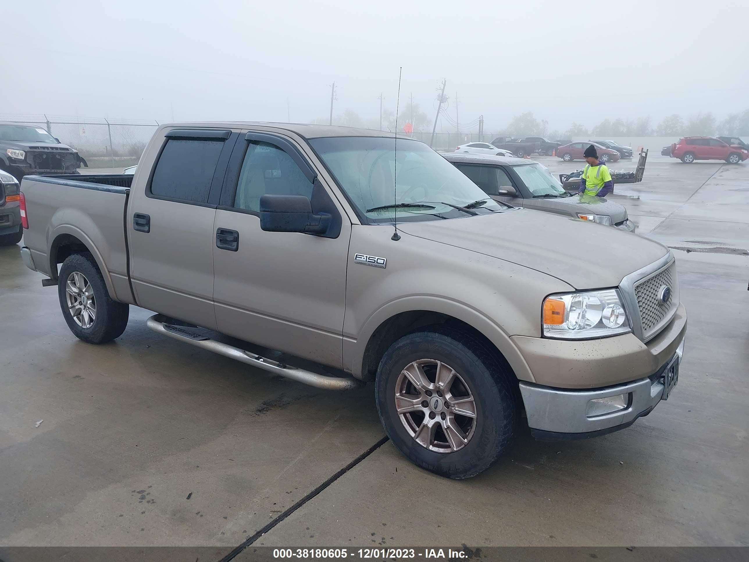 ford f-150 2004 1ftpw12594kc80846