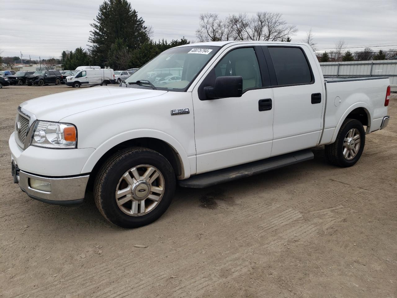 ford f-150 2004 1ftpw125x4kc35902