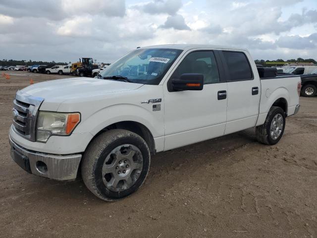 ford f150 super 2009 1ftpw12v29fa62800