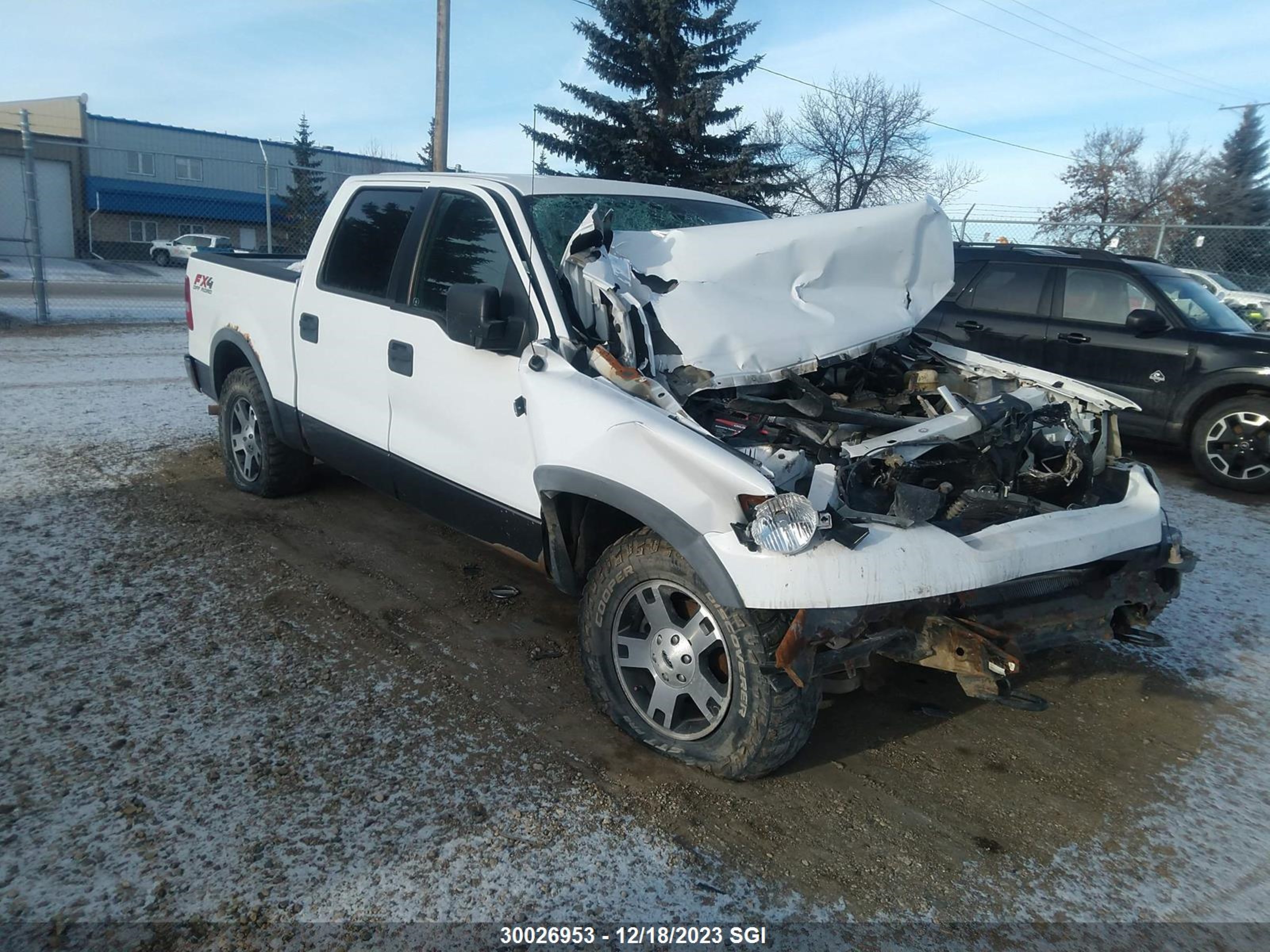 ford f-150 2006 1ftpw14506fb70132