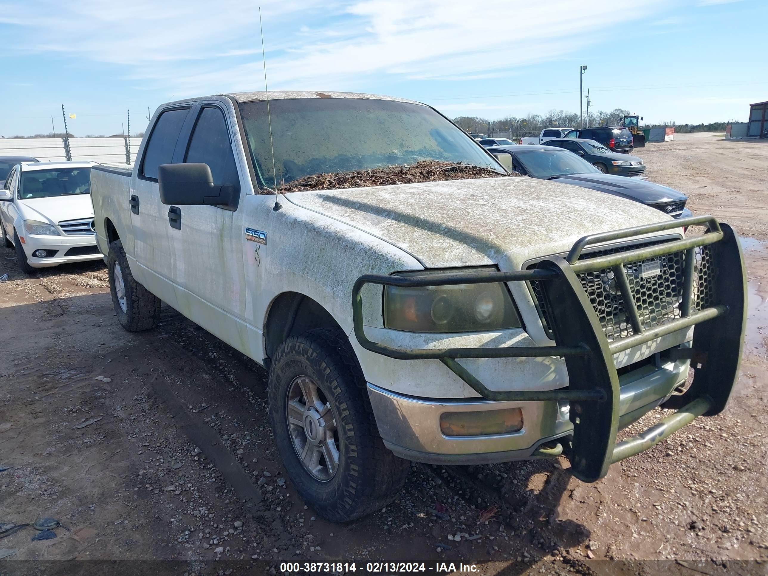 ford f-150 2004 1ftpw14514kd09723