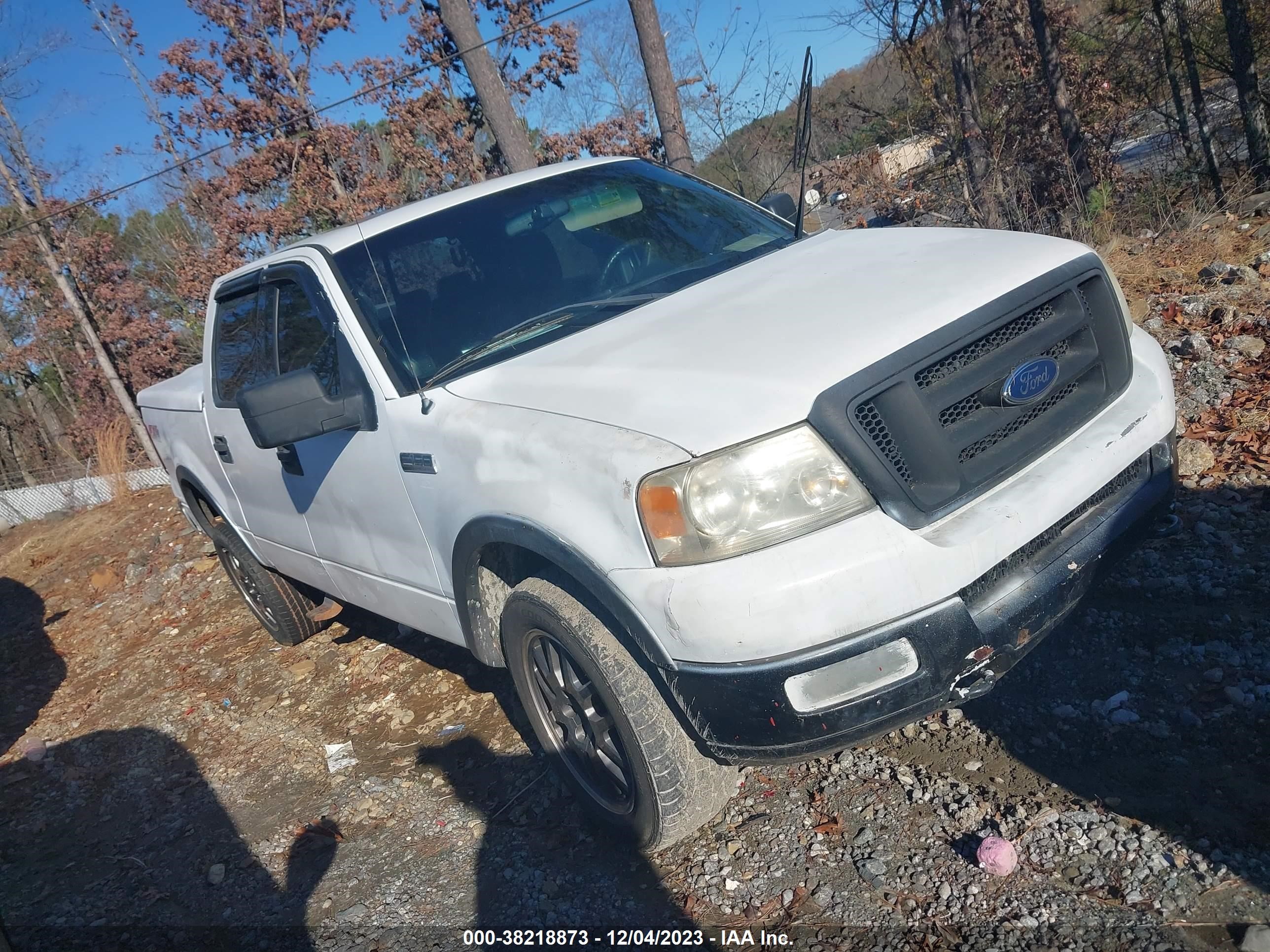 ford f-150 2004 1ftpw14534kc22468