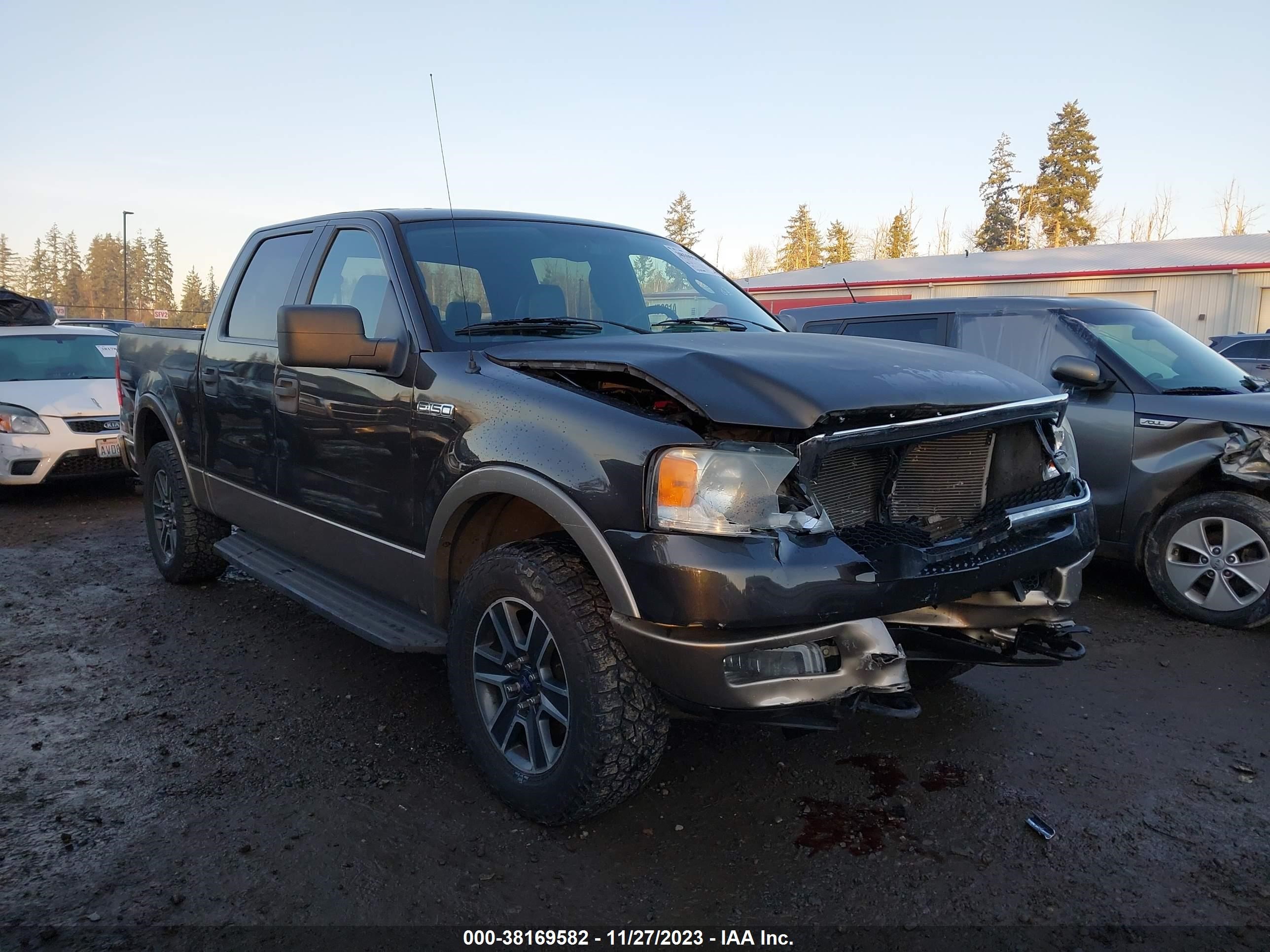 ford f-150 2005 1ftpw14575kd34658