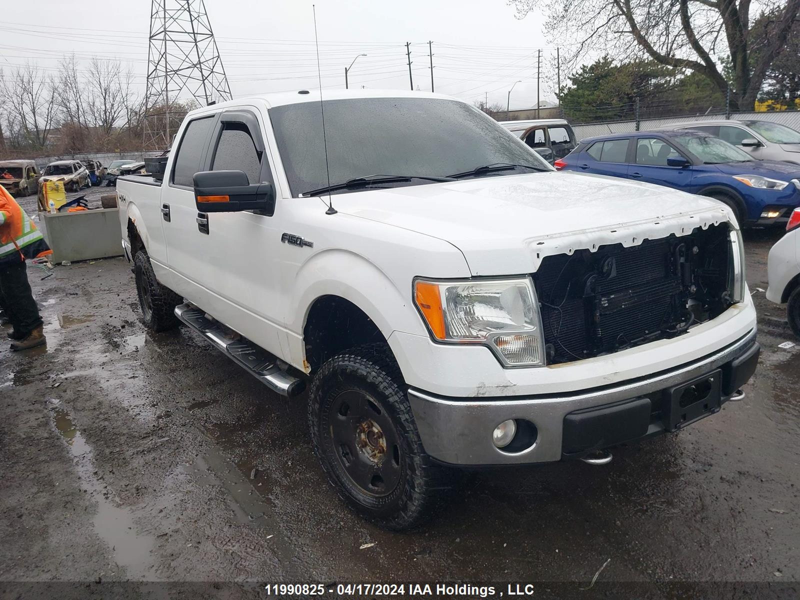 ford f-150 2009 1ftpw14v19fa70741